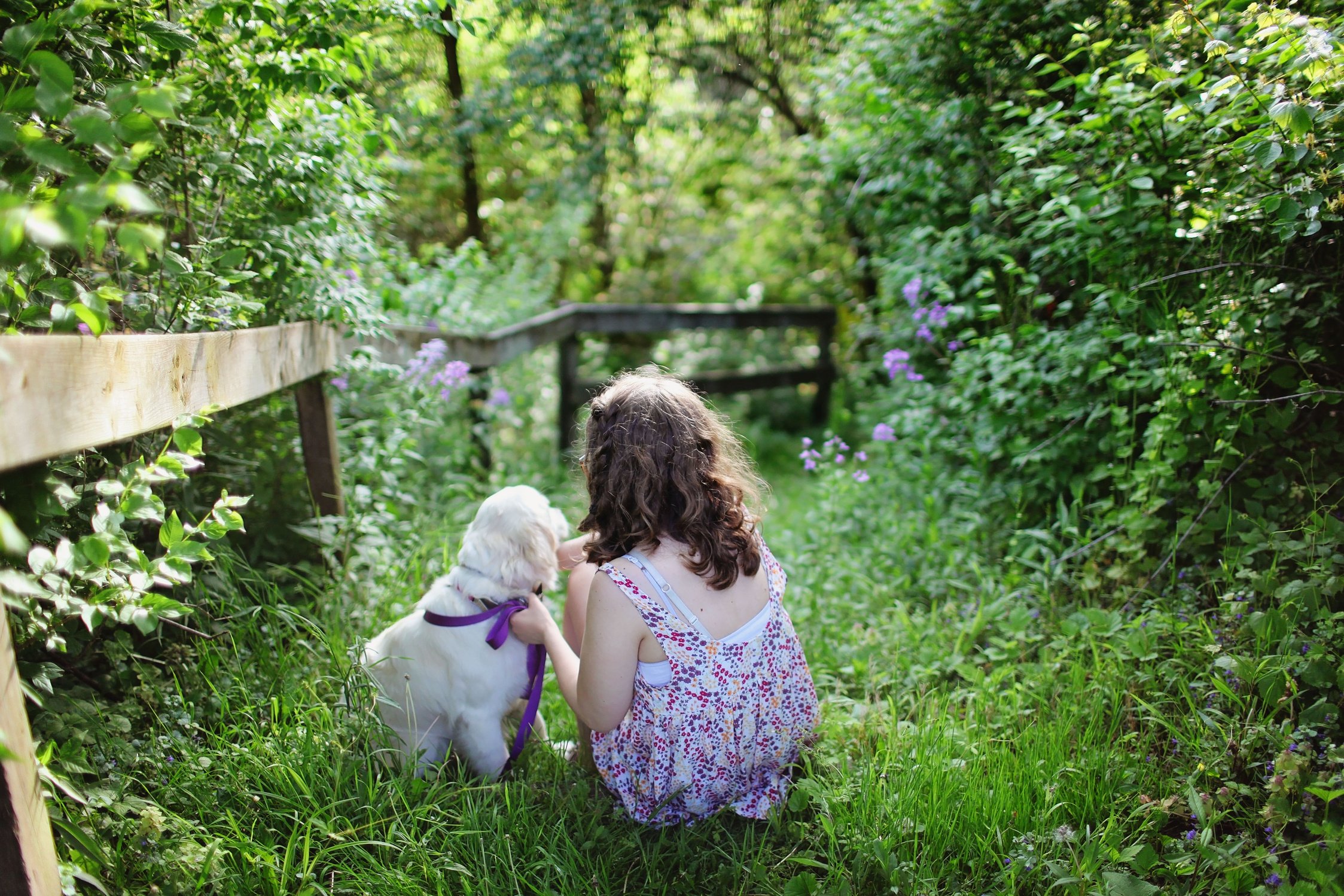 Child Touching Dog